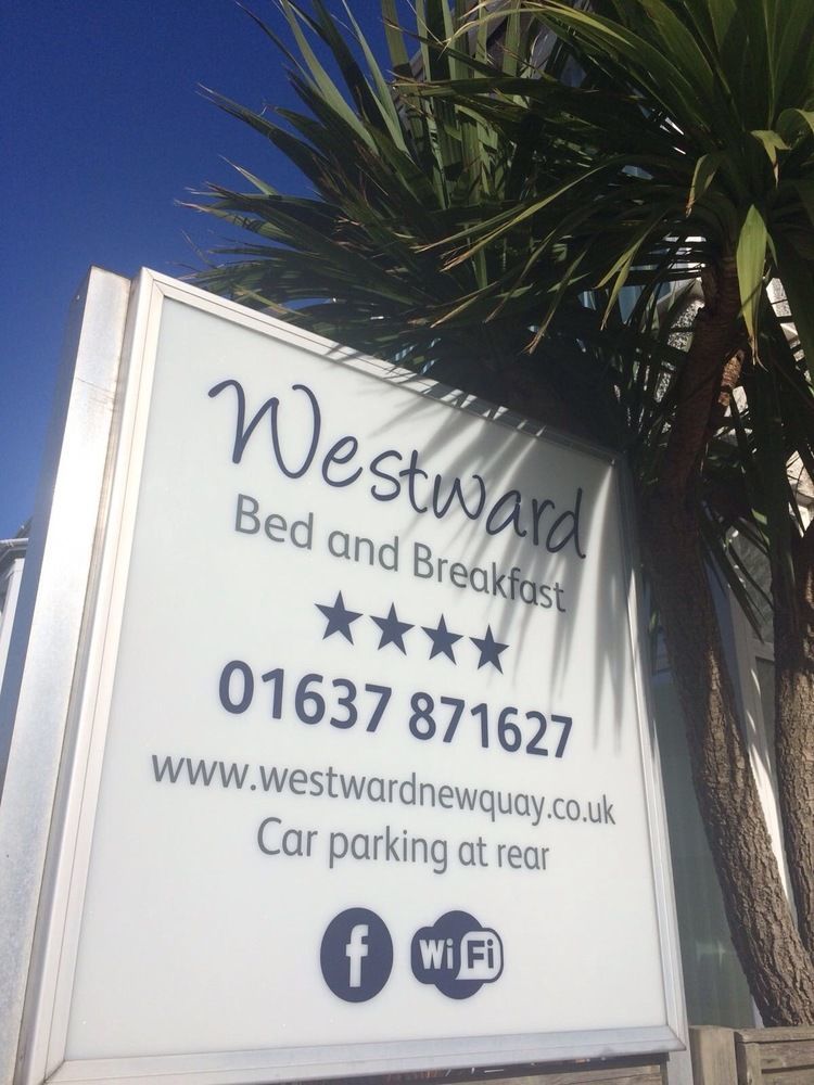 Westward B&B New Quay Kültér fotó